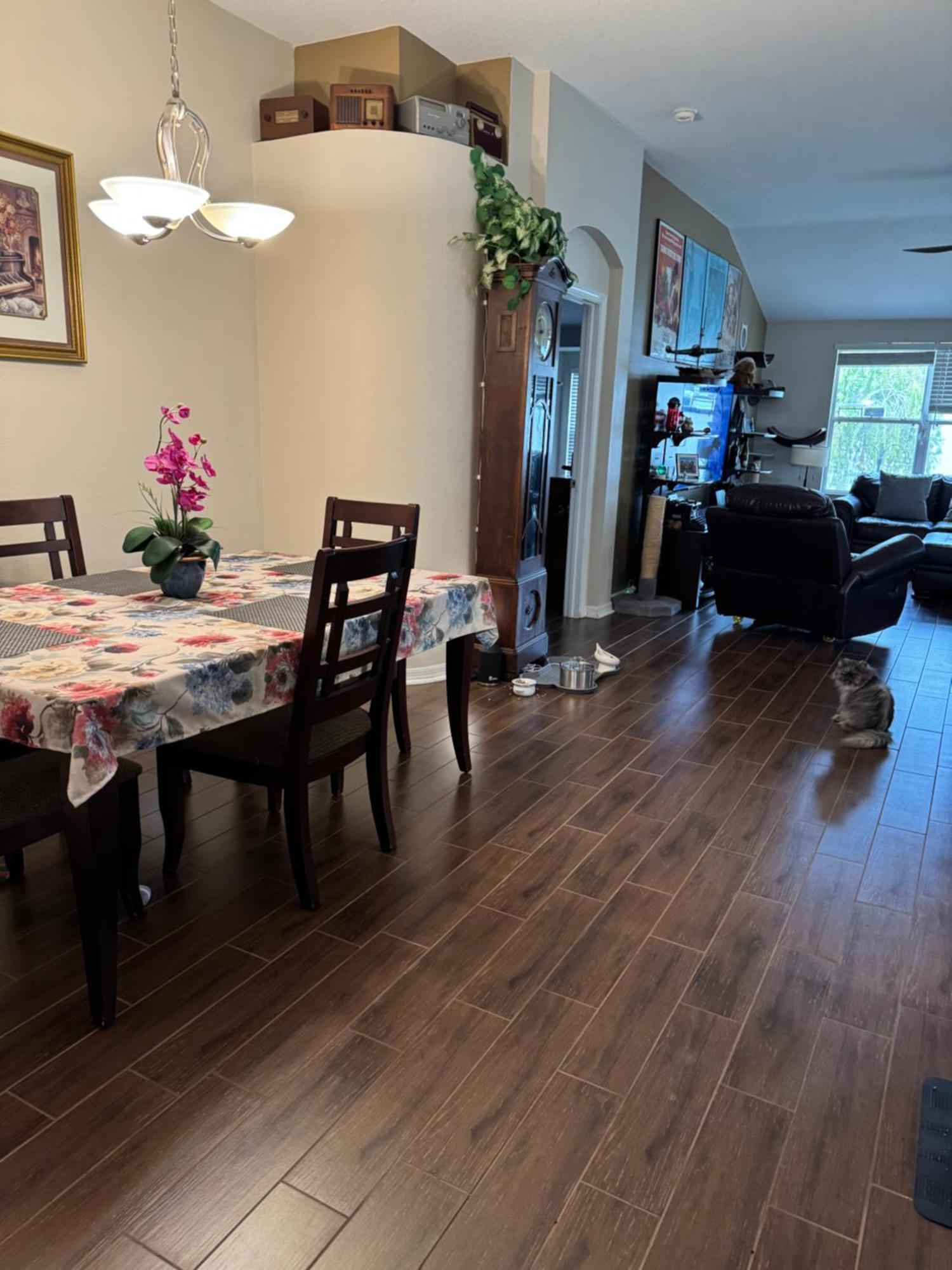 Ruskin Fl Private 2 Bdrm 1 Bath Suite Common Areas Shared With Host And Cat Exterior foto